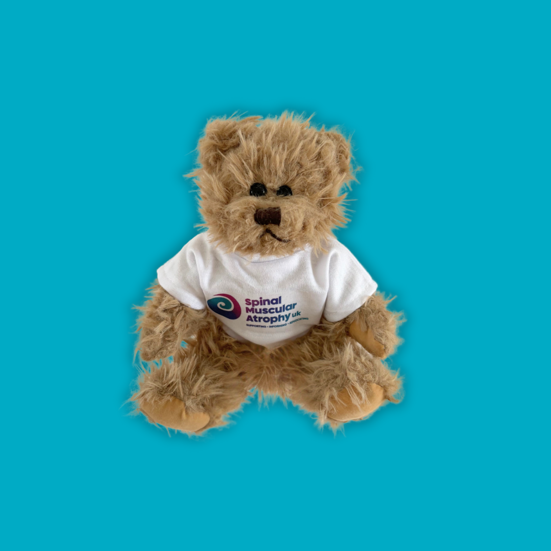 Aware Bear