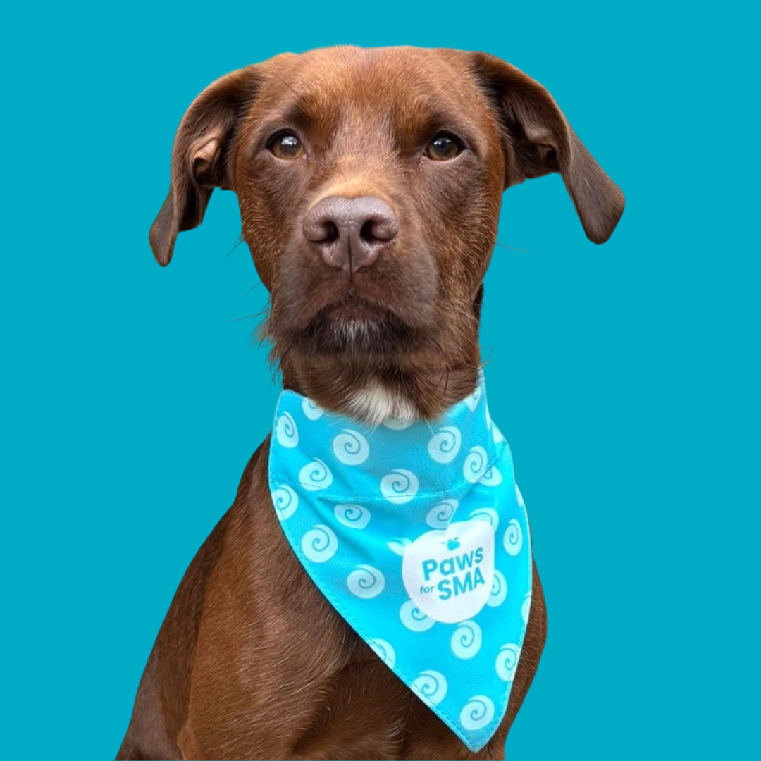 Dog Bandana