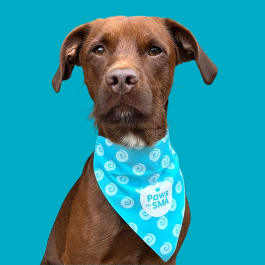 Dog Bandana